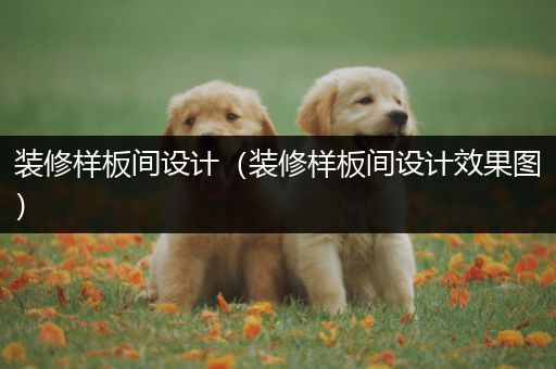 装修样板间设计（装修样板间设计效果图）