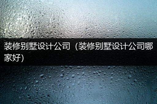 装修别墅设计公司（装修别墅设计公司哪家好）