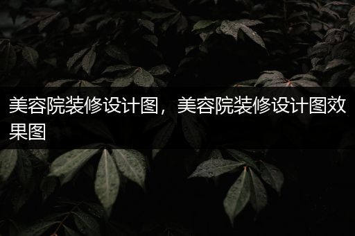 美容院装修设计图，美容院装修设计图效果图