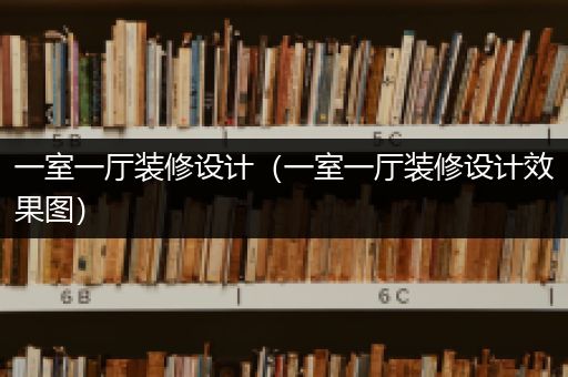 一室一厅装修设计（一室一厅装修设计效果图）