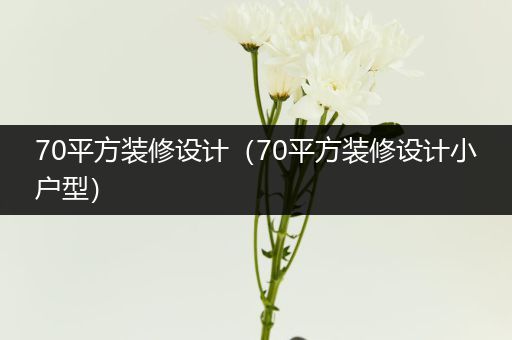 70平方装修设计（70平方装修设计小户型）