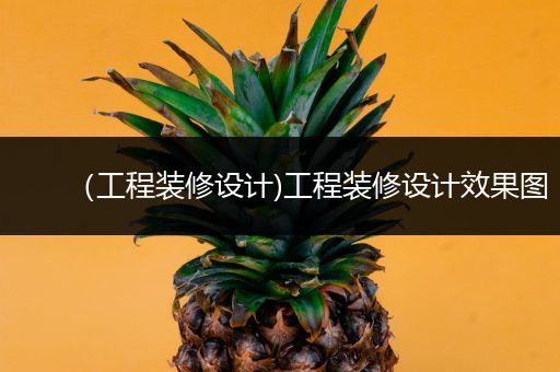 （工程装修设计)工程装修设计效果图