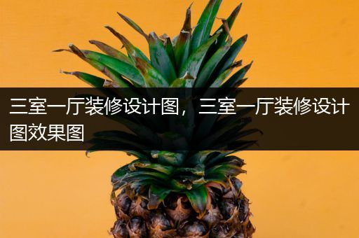 三室一厅装修设计图，三室一厅装修设计图效果图