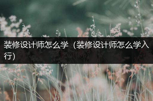 装修设计师怎么学（装修设计师怎么学入行）